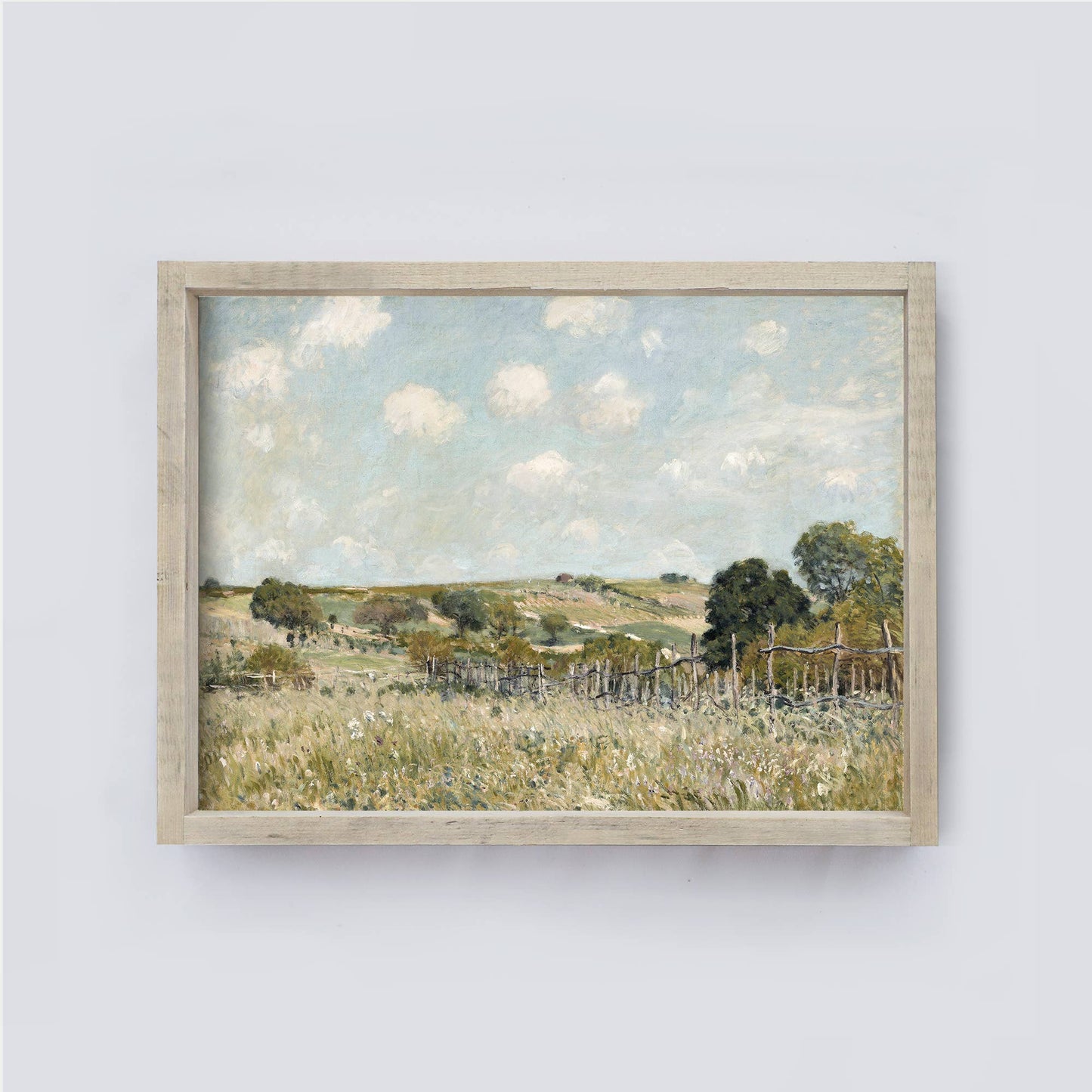 Summer Meadow Framed Print