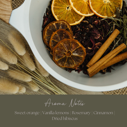 Be Ember Fall Simmer Pot Mix, Natural Autumn Spice Aroma