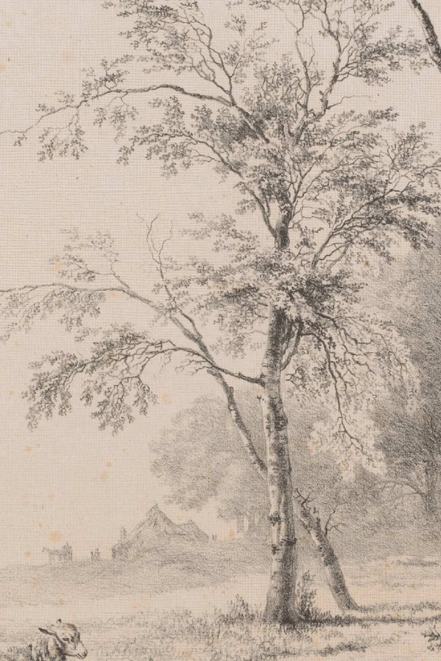 Sketch Of The Past Canvas Wall Art