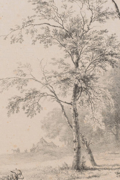 Sketch Of The Past Canvas Wall Art