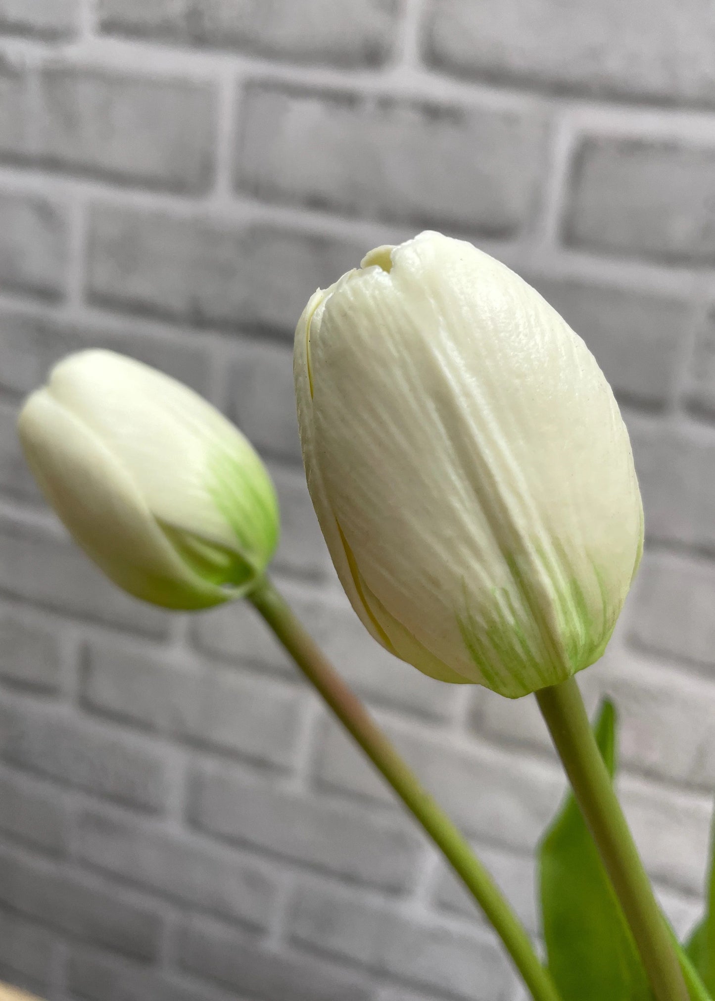 16" Real Touch Dynasty Tulip Bundle