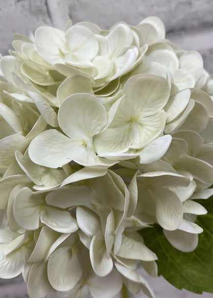 12" Fresh Touch Hydrangea Stem
