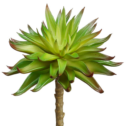 Real Touch Aeonium Pick