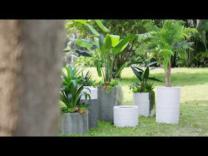 White Ridged Cement Planters