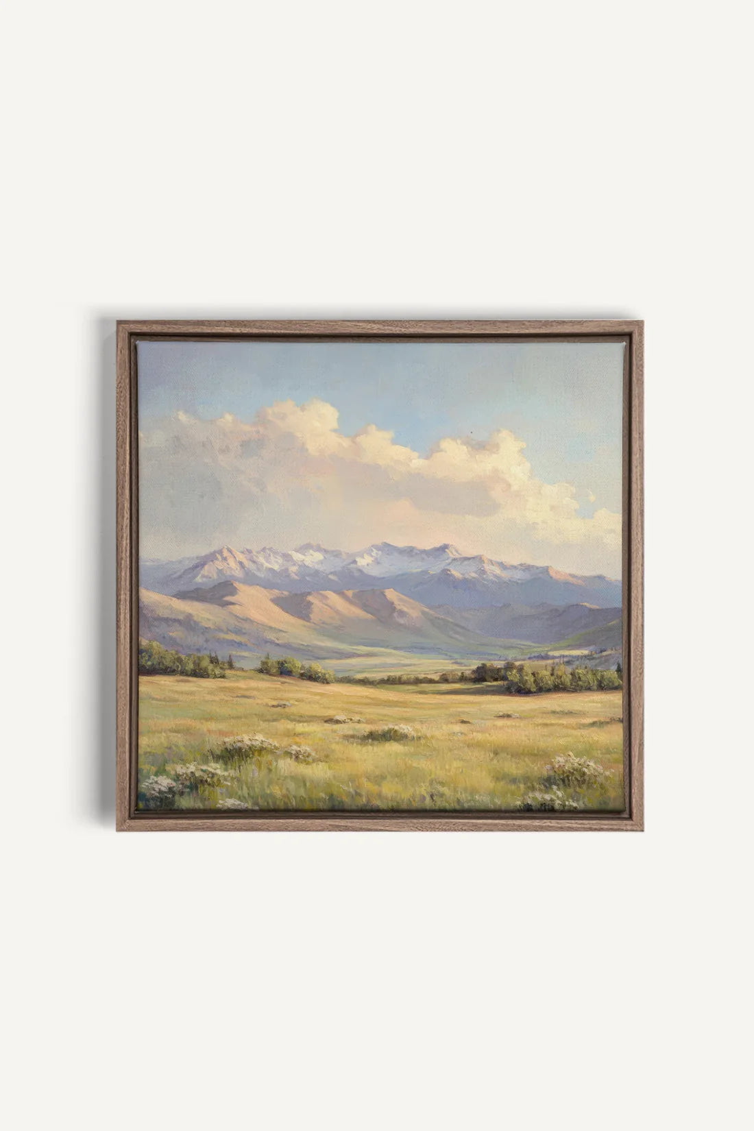 Valley Of Light Canvas Wall Art