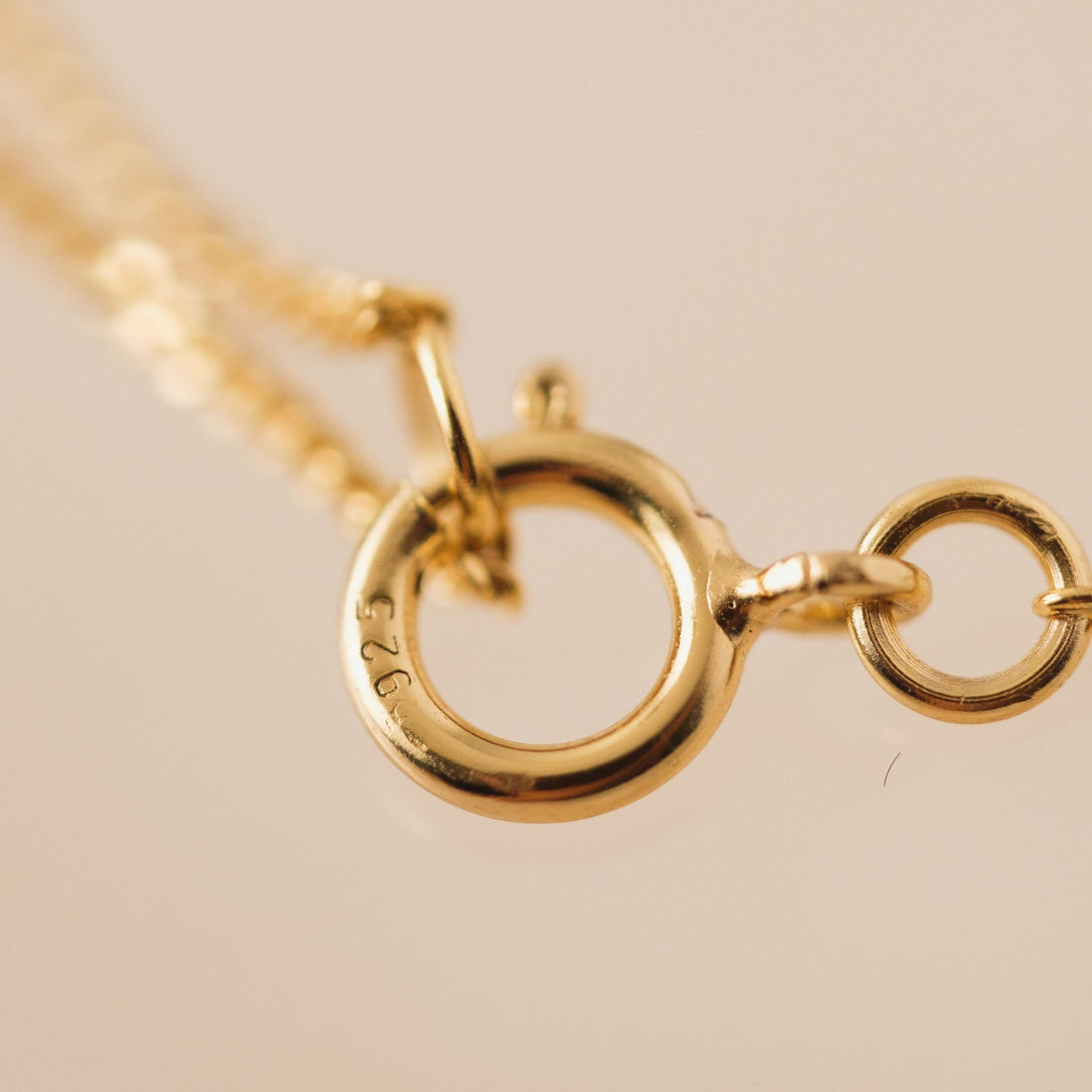 Demi-Fine Mini Curb Chain Necklace