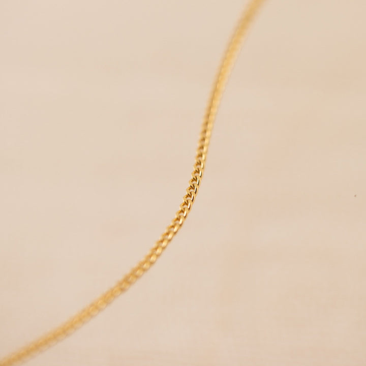 Demi-Fine Mini Curb Chain Necklace