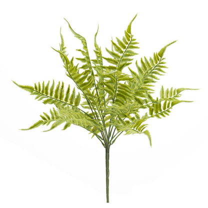 Leafy Fern