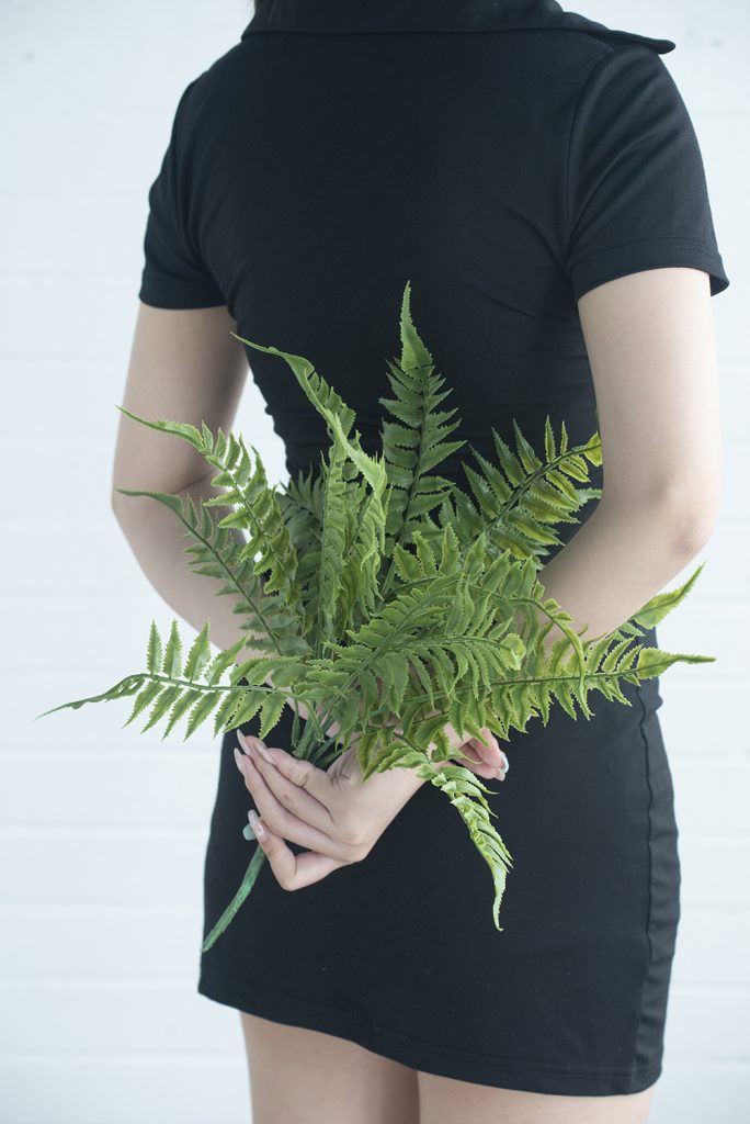 Leafy Fern