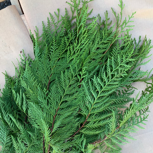 Cedar Bunch - 3lbs