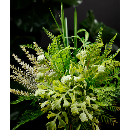 Miller Fern Bush