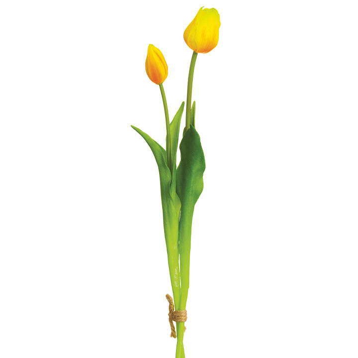 Yellow Tulip Bundle